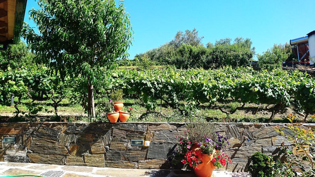Douro Valley - Casa Vale Do Douro 拉梅戈 外观 照片