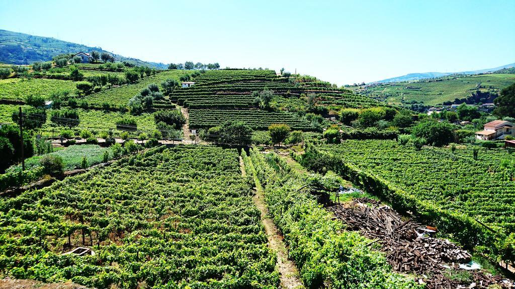 Douro Valley - Casa Vale Do Douro 拉梅戈 外观 照片