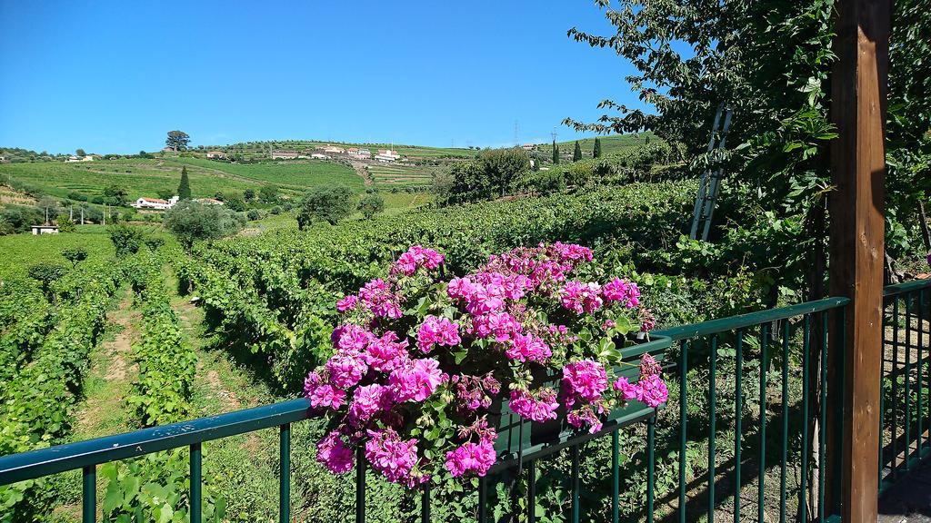 Douro Valley - Casa Vale Do Douro 拉梅戈 外观 照片